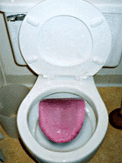 Funny Screensavers 0009